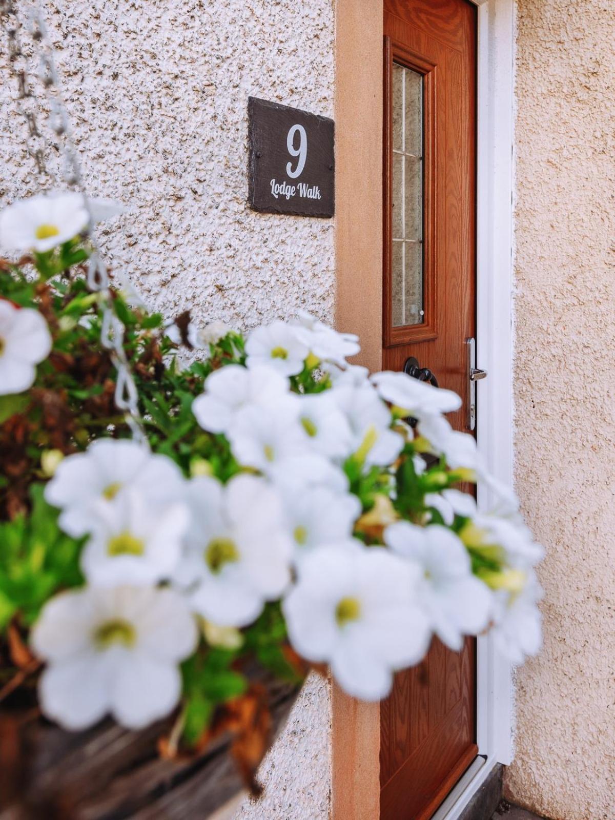 9 Lodge Walk, Elie Exterior photo